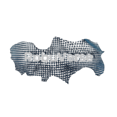 Robuverse Logo